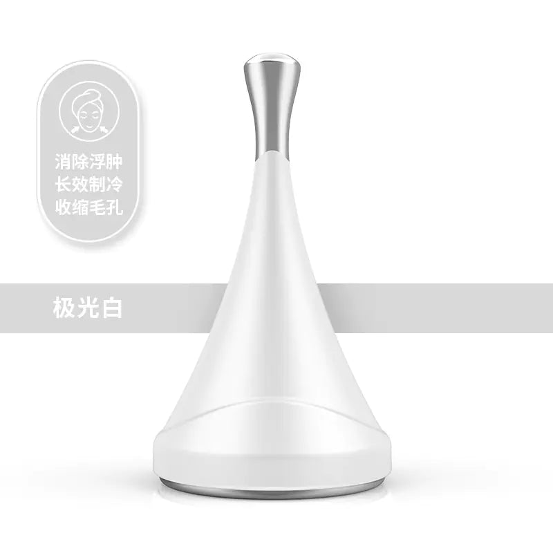 Home Facial Ice Massage Tool for Skin Repair and Firming